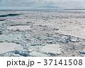 オホーツク海　網走沖の流氷 37141508