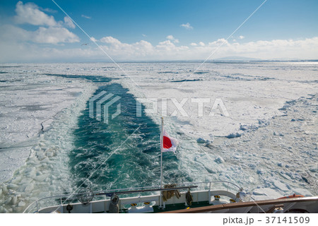 オホーツク海　網走沖の流氷観光砕氷船から見る流氷 37141509
