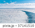 オホーツク海　網走沖の流氷 37141510