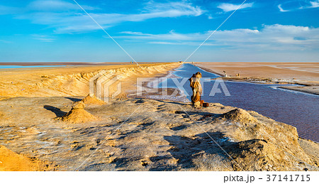 Chott el Djerid, a dry lake in Tunisia Chott el Djerid, a dry lake in Tunisia 37141715