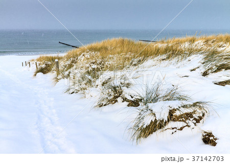 Winter on the Baltic Sea coast in Ahrenshoop Winter on the Baltic Sea coast in Ahrenshoop 37142703