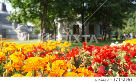 Russia Moscow Mosque 37142968