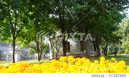 Russia Moscow Mosque 37142989