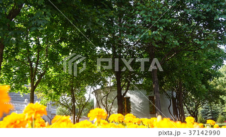 Russia Moscow Mosque 37142990