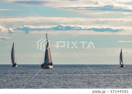 Sailboats traveling by Baltic sea 37144591
