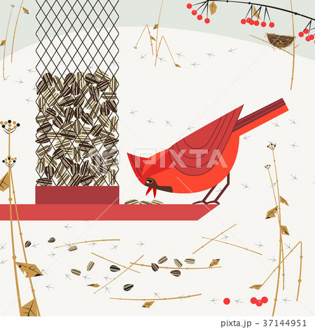 Bird feeding poster Bird feeding poster 37144951