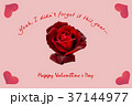 Valentines day 37144977