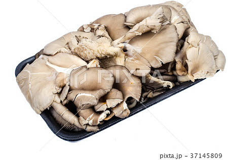 Fresh oyster mushrooms in black package Fresh oyster mushrooms in black package 37145809