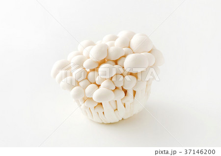 白ぶなしめじ 白ぶなしめじ 37146200