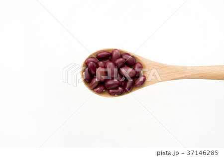 金時豆 金時豆 37146285