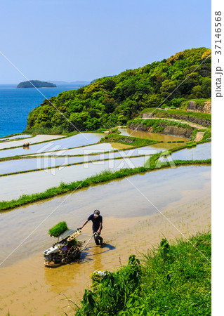 土谷棚田の水張風景 長崎県松浦市 土谷棚田の水張風景 長崎県松浦市 37146568