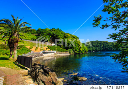 新緑の西海橋公園 37146855