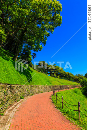 新緑の西海橋公園 37146865