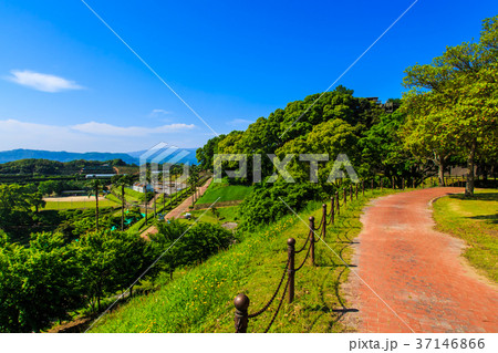 新緑の西海橋公園 37146866