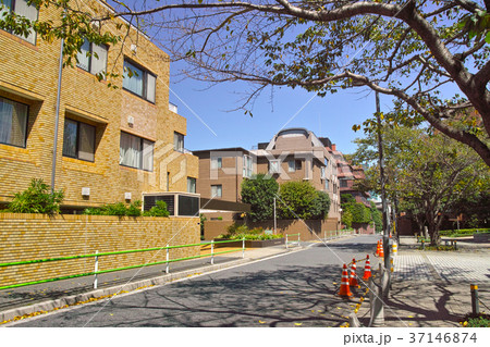 東京都港区元麻布の住宅街の景観 37146874