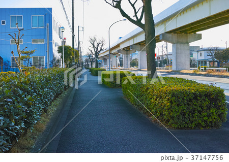 横浜金沢産業団地 第10ブロックの歩道 横浜金沢産業団地 第10ブロックの歩道 37147756
