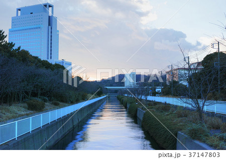 横浜金沢産業団地 長浜水路 横浜金沢産業団地 長浜水路 37147803