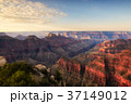 Grand conyon North rim, Arizona 37149012