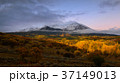 Twin peaks mountain, Mount Sopris and Elk 37149013