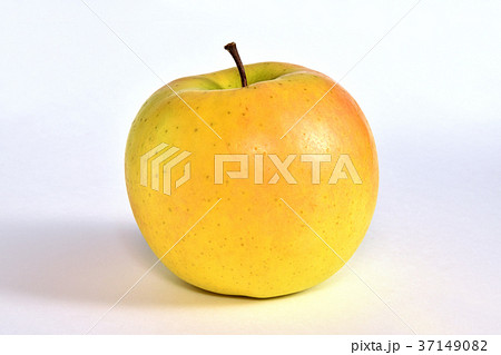 リンゴ（こうこう） 37149082