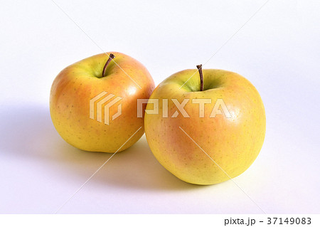 リンゴ（こうこう） 37149083