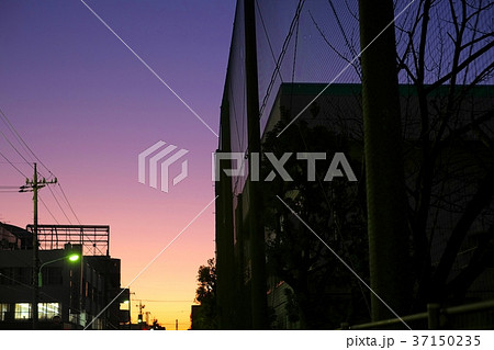 夕暮れの町並み 37150235