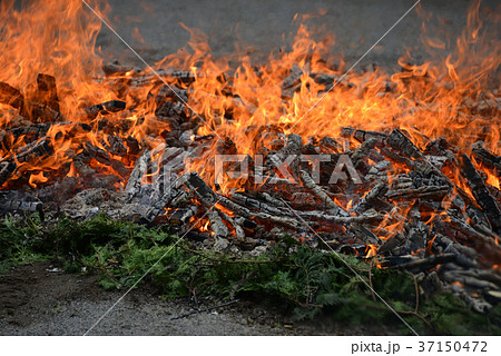 火渡り荒行 37150472