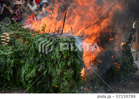 火渡り荒行 37150789