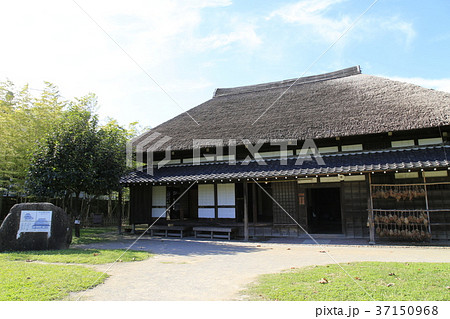 足立区都市農業公園の古民家 37150968