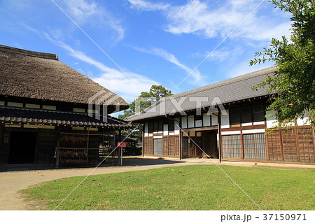 足立区都市農業公園の長屋門 足立区都市農業公園の長屋門 37150971
