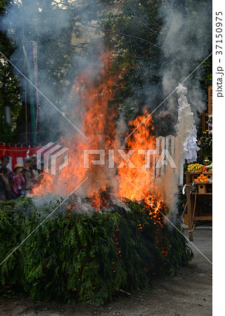 火渡り荒行 37150975