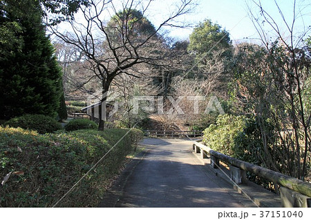 東京都町田市 芹が谷公園 東京都町田市 芹が谷公園 37151040