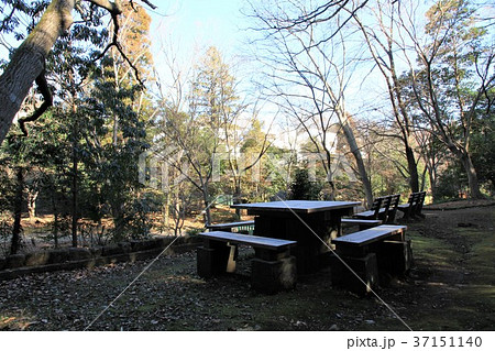 東京都町田市　芹が谷公園 37151140