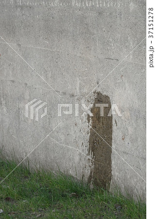 立ちションの写真素材