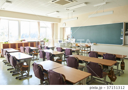 小学校 37151312