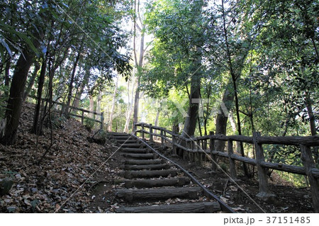 東京都町田市 芹が谷公園 東京都町田市 芹が谷公園 37151485