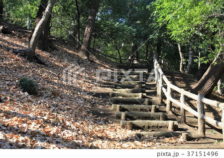 東京都町田市 芹が谷公園 東京都町田市 芹が谷公園 37151496