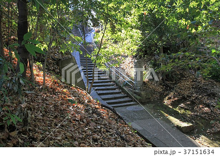 東京都町田市 芹が谷公園 東京都町田市 芹が谷公園 37151634
