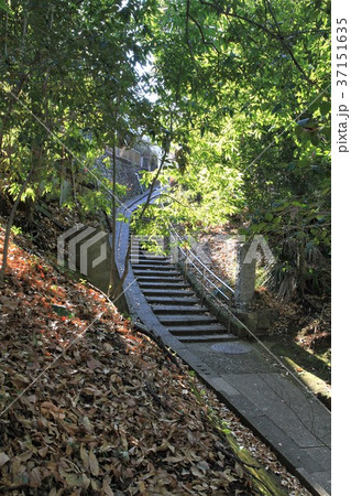 東京都町田市 芹が谷公園 東京都町田市 芹が谷公園 37151635
