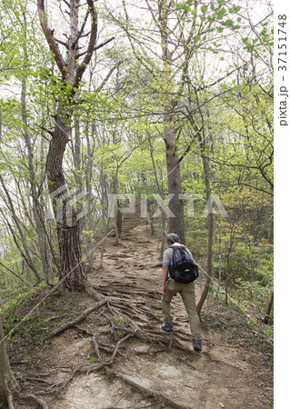 達居森遊歩道 37151748
