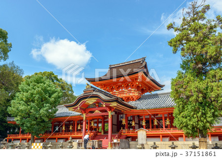 石清水八幡宮　上院社殿 37151861