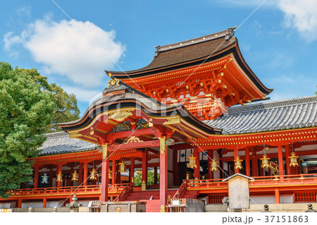 石清水八幡宮　国宝上院社殿 37151863