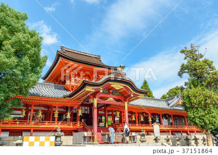 石清水八幡宮 上院社殿 石清水八幡宮 上院社殿 37151864