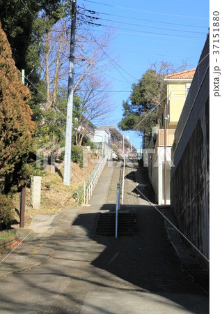 東京都町田市 芹が谷公園 東京都町田市 芹が谷公園 37151880