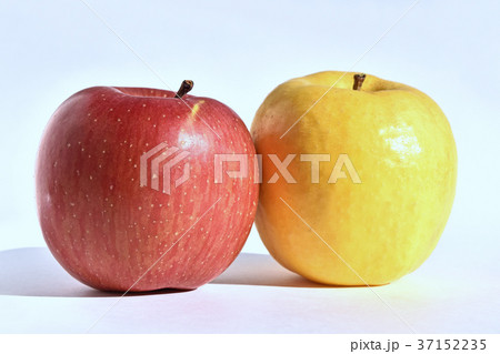 リンゴ（黄金ふじ・サンふじ） 37152235