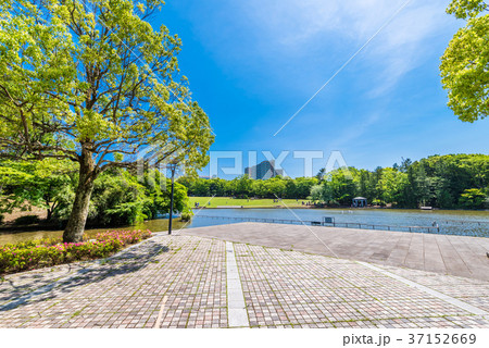 多摩中央公園 多摩中央公園 37152669