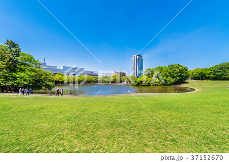 多摩中央公園 多摩中央公園 37152670