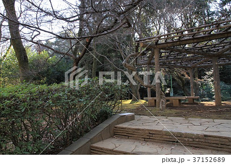 東京都町田市 芹が谷公園 東京都町田市 芹が谷公園 37152689
