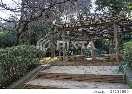 東京都町田市 芹が谷公園 東京都町田市 芹が谷公園 37152690