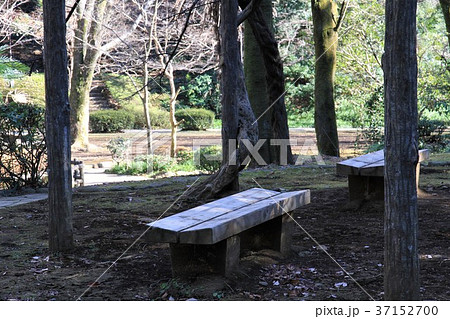 東京都町田市 芹が谷公園 東京都町田市 芹が谷公園 37152700